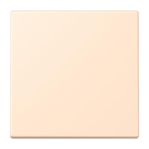 Jung Wippe 1fach, Serie LS, terre sienne pâle LC990238