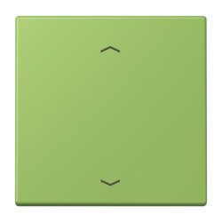 Jung Wippe 1fach, mit Pfeilsymbolen, Serie LS, vert 31...