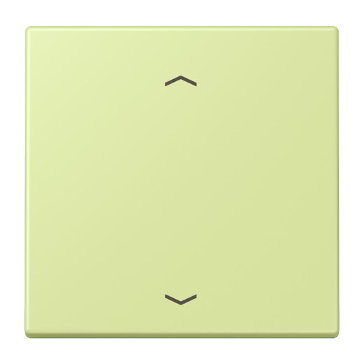 Jung Wippe 1fach, mit Pfeilsymbolen, Serie LS, vert jaune clair LC990P222