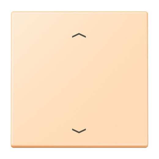 Jung Wippe 1fach, mit Pfeilsymbolen, Serie LS, ocre LC990P223