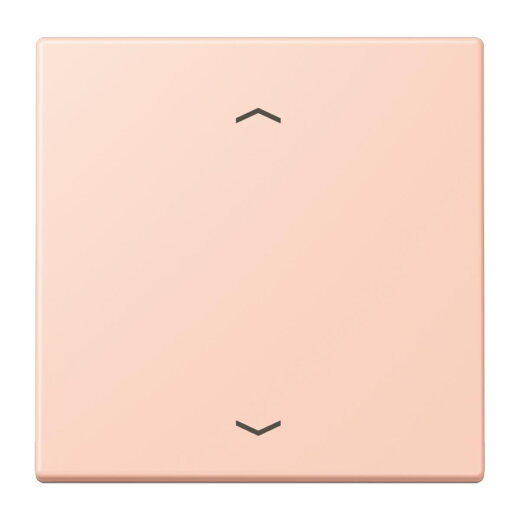 Jung Wippe 1fach, mit Pfeilsymbolen, Serie LS, locre rouge clair LC990P234