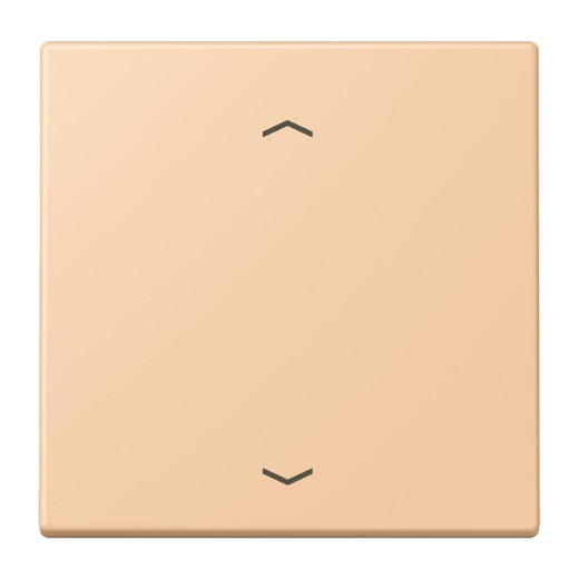 Jung Wippe 1fach, mit Pfeilsymbolen, Serie LS, terre sienne claire 31 LC990P237