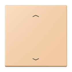 Jung Wippe 1fach, mit Pfeilsymbolen, Serie LS, terre...