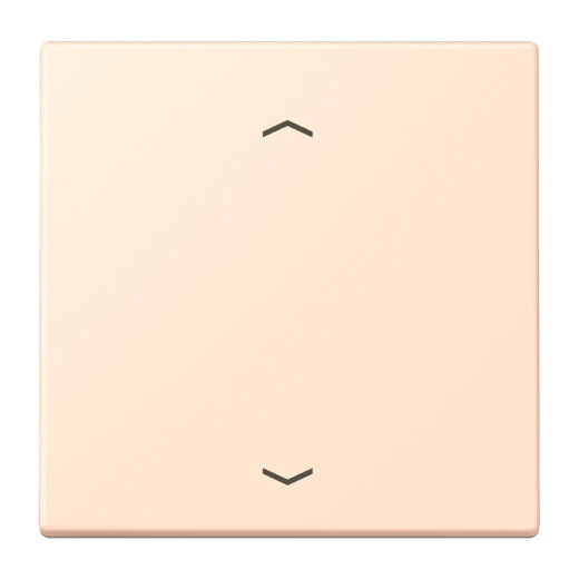 Jung Wippe 1fach, mit Pfeilsymbolen, Serie LS, terre sienne pâle LC990P238