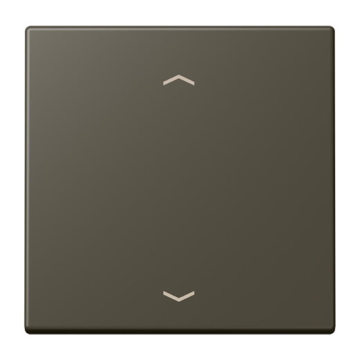 Jung Wippe 1fach, mit Pfeilsymbolen, Serie LS, ombre naturelle 31 LC990P241