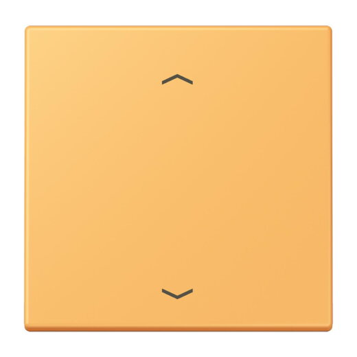 Jung Wippe 1fach, mit Pfeilsymbolen, Serie LS, ocre jaune clair LC990P254