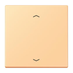 Jung Wippe 1fach, mit Pfeilsymbolen, Serie LS, terre...