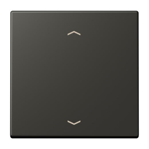 Jung Wippe 1fach, mit Pfeilsymbolen, Serie LS, ombre naturelle 59 LC990P259