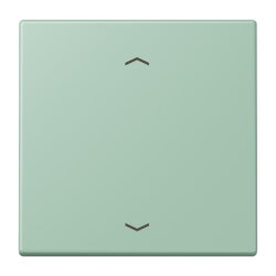 Jung LB-Management Taster 1fach, mit Pfeilsymbolen,...