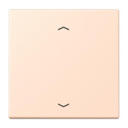 Jung LB-Management Taster 1fach, mit Pfeilsymbolen,...