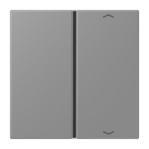 Jung Taste 1fach, mit Pfeilsymbolen, F40, Serie LS, gris 31 LC401TSAP203
