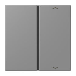 Jung Taste 1fach, mit Pfeilsymbolen, F40, Serie LS, gris...