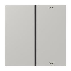 Jung Taste 1fach, mit Pfeilsymbolen, F40, Serie LS, gris...