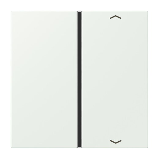 Jung Taste 1fach, mit Pfeilsymbolen, F40, Serie LS, outremer gris LC401TSAP210