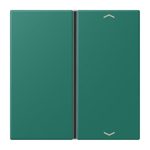 Jung Taste 1fach, mit Pfeilsymbolen, F40, Serie LS, vert anglais LC401TSAP216