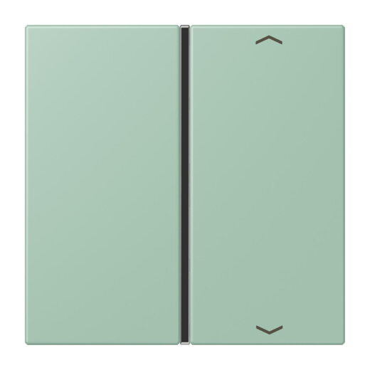 Jung Taste 1fach, mit Pfeilsymbolen, F40, Serie LS, vert anglais clair LC401TSAP217