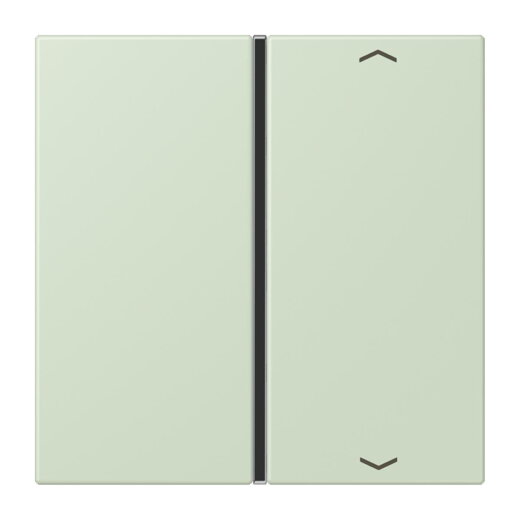 Jung Taste 1fach, mit Pfeilsymbolen, F40, Serie LS, vert anglâis pale LC401TSAP218