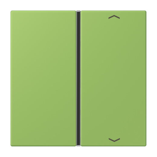 Jung Taste 1fach, mit Pfeilsymbolen, F40, Serie LS, vert 31 LC401TSAP220