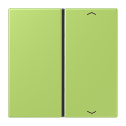 Jung Taste 1fach, mit Pfeilsymbolen, F40, Serie LS, vert clair LC401TSAP221