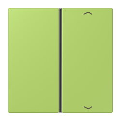 Jung Taste 1fach, mit Pfeilsymbolen, F40, Serie LS, vert...