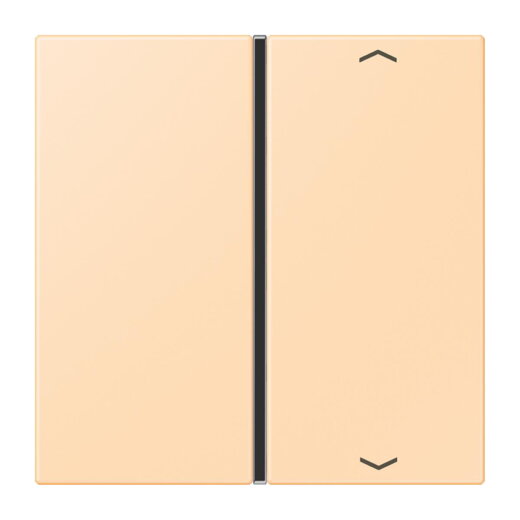 Jung Taste 1fach, mit Pfeilsymbolen, F40, Serie LS, ocre LC401TSAP223
