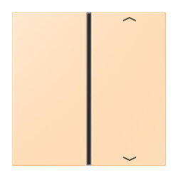 Jung Taste 1fach, mit Pfeilsymbolen, F40, Serie LS, ocre...