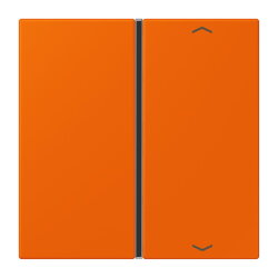 Jung Taste 1fach, mit Pfeilsymbolen, F40, Serie LS,...