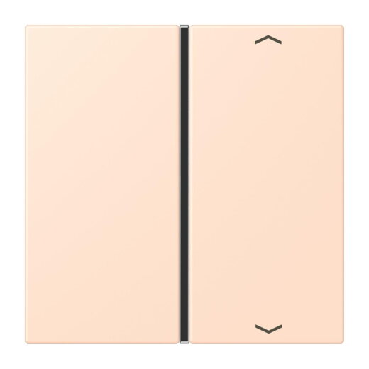 Jung Taste 1fach, mit Pfeilsymbolen, F40, Serie LS, rose pâle LC401TSAP228