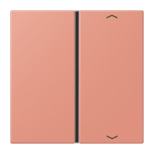 Jung Taste 1fach, mit Pfeilsymbolen, F40, Serie LS, locre rouge moyen LC401TSAP233