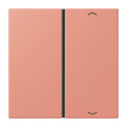 Jung Taste 1fach, mit Pfeilsymbolen, F40, Serie LS, locre...