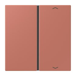 Jung Taste 1fach, mit Pfeilsymbolen, F40, Serie LS, terre...