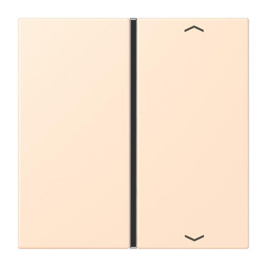 Jung Taste 1fach, mit Pfeilsymbolen, F40, Serie LS, terre sienne pâle LC401TSAP238