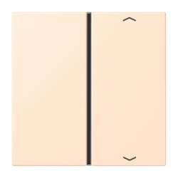 Jung Taste 1fach, mit Pfeilsymbolen, F40, Serie LS, terre...