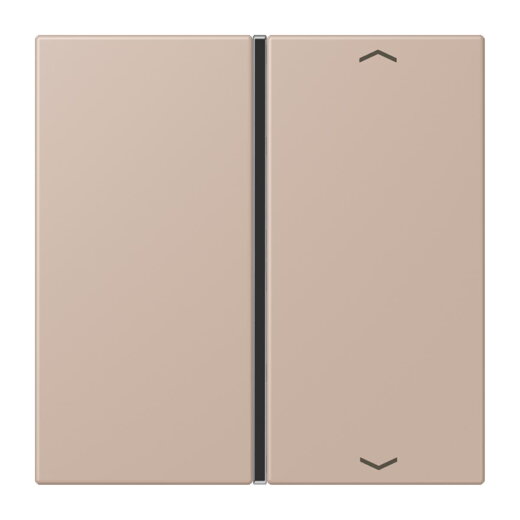 Jung Taste 1fach, mit Pfeilsymbolen, F40, Serie LS, ombre br?lée claire LC401TSAP240