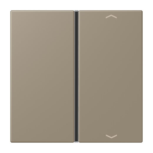 Jung Taste 1fach, mit Pfeilsymbolen, F40, Serie LS, ombre naturelle moyenne LC401TSAP242