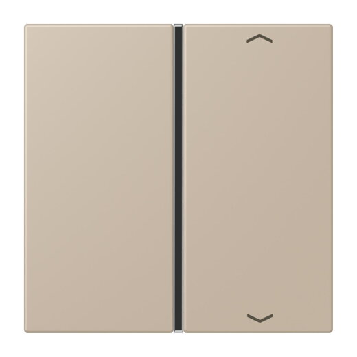 Jung Taste 1fach, mit Pfeilsymbolen, F40, Serie LS, ombre naturelle claire LC401TSAP243