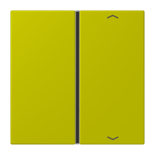 Jung Taste 1fach, mit Pfeilsymbolen, F40, Serie LS, vert olive vif LC401TSAP249