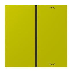 Jung Taste 1fach, mit Pfeilsymbolen, F40, Serie LS, vert...