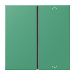 Jung Taste 1fach, mit Pfeilsymbolen, F40, Serie LS, vert...