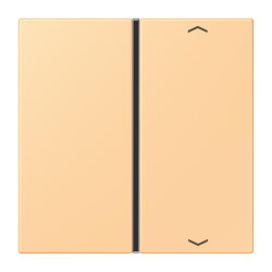 Jung Taste 1fach, mit Pfeilsymbolen, F40, Serie LS, terre...