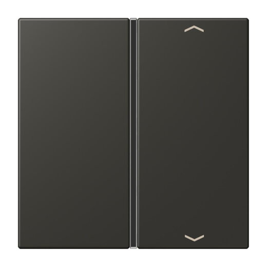 Jung Taste 1fach, mit Pfeilsymbolen, F40, Serie LS, ombre naturelle 59 LC401TSAP259