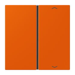 Jung Taste 1fach, mit Pfeilsymbolen, F40, Serie LS,...