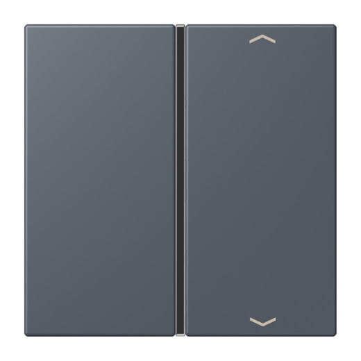 Jung Taste 1fach, mit Pfeilsymbolen, F40, Serie LS, gris fonce 59 LC401TSAP262