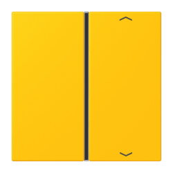 Jung Taste 1fach, mit Pfeilsymbolen, F40, Serie LS, le...