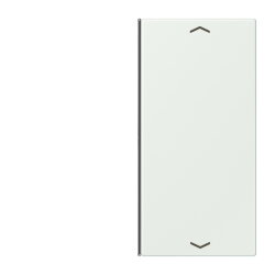 Jung Taste 2fach, mit Pfeilsymbolen, F40, Serie LS,...