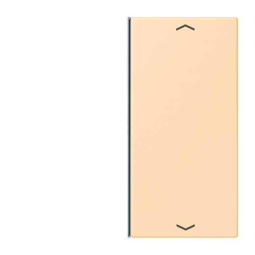 Jung Taste 2fach, mit Pfeilsymbolen, F40, Serie LS, ocre LC402TSAP223