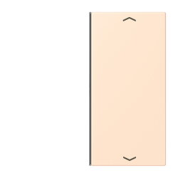 Jung Taste 2fach, mit Pfeilsymbolen, F40, Serie LS, terre...