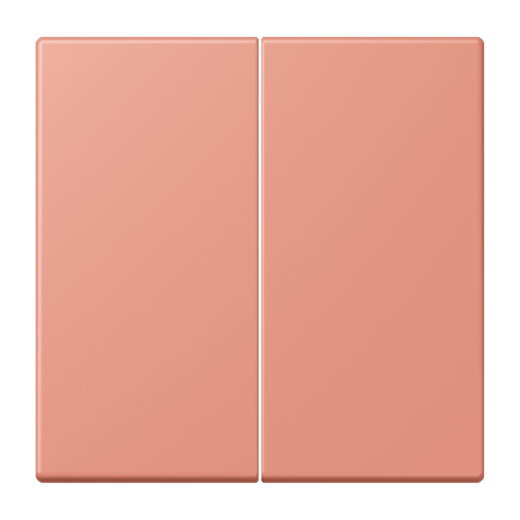 Jung Wippe für Taster 2fach, Serie LS, locre rouge moyen LC102233