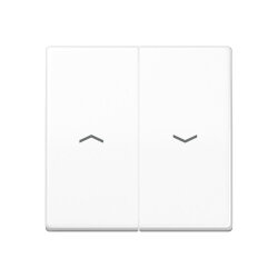 Jung Wippe 2fach, mit Pfeilsymbolen, Duroplast...