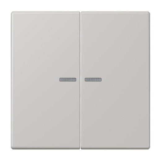 Jung Wippe 2fach mit Lichtleiter, Serie LS, gris clair 31 LC995KO5205